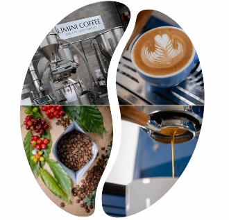 Coffee roaster